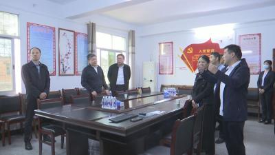 视频︱荣先国来蕲调研秸秆禁烧和赤东湖水质提升工作