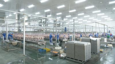 视频︱湖北晟源食品有限公司：让“鲜”品更快走上餐桌