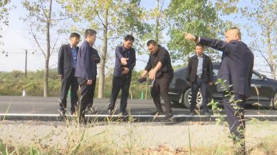 视频︱横车镇马崇公路改造工程完成八成工程量