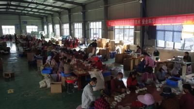 视频︱漕河：企业缺人手镇村忙招工 四百农民摇身进厂变工人