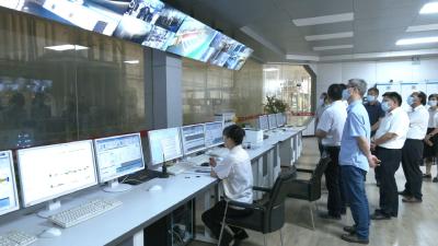 视频︱省林业局到湖北燕加隆集团调研