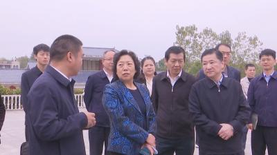 视频︱省委第六巡回指导组来蕲春调研共同缔造活动试点工作