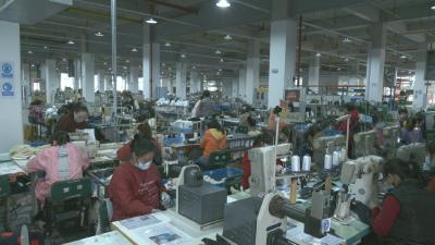 视频︱李时珍医药工业园区：“疫”路绿灯助企业开工生产