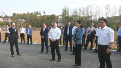视频︱蕲春召开共同缔造活动试点工作拉练推进会