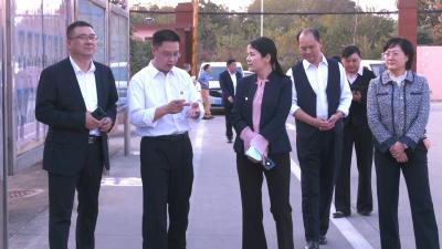 视频︱陈丹到企业调研 解决发展难题