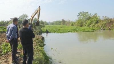 视频︱县农业农村局：强治理严监管 不断改善关沙河水环境质量