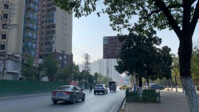 视频︱县“四城联创”指挥部规范道路沿线指示牌