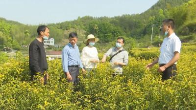 视频︱汪义锋：办实事 兴产业 打造美好家园