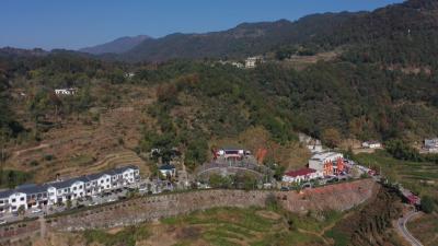 视频︱狮子镇入选2022年国家级森林康养试点建设基地名单