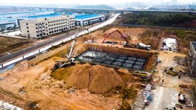 视频︱湖北蕊源堂：从人工生产向现代“智造”蝶变