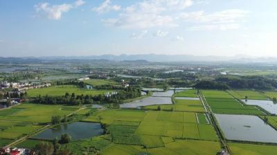 视频︱坚定信心抓落实 踔厉奋发开新篇