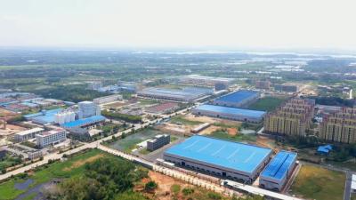 视频︱蕲春32家企业入选湖北省第一批创新型中小企业