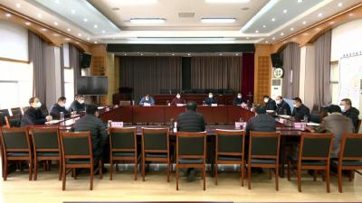 视频︱陈丹主持召开重点项目情况汇报会