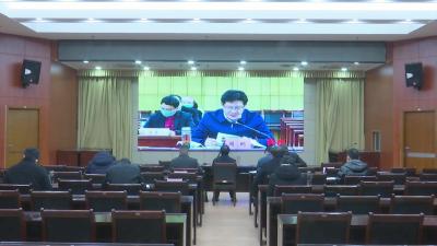 视频︱蕲春组织收看全市党史学习教育领导小组办公室主任视频会