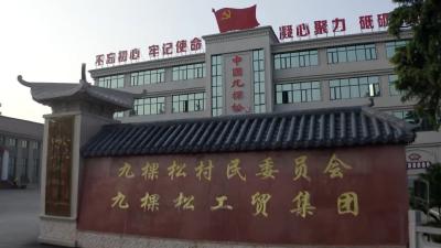 视频︱九棵松旅游区成功创建国家3A级旅游景区