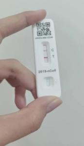 抗原T区格外红，和病情严重程度有关吗？专家答疑