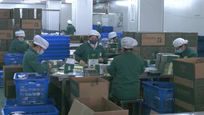 视频︱李时珍医药集团：24小时满负荷生产 全力以赴满足市场需求