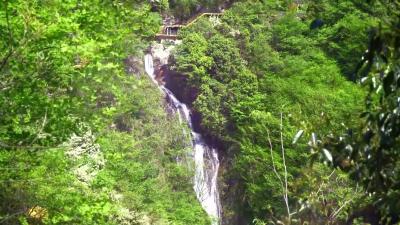 视频︱《棠树岭上好风光》入围全省乡村振兴主题原创歌曲