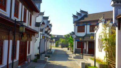 视频︱李时珍文化旅游区创建国家4A级景区提档升级项目启动暨“蕲州书院”揭牌仪式在蕲艾小镇举行