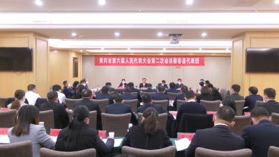 视频︱蕲春县代表团审议市人大常委会和“两院”工作报告