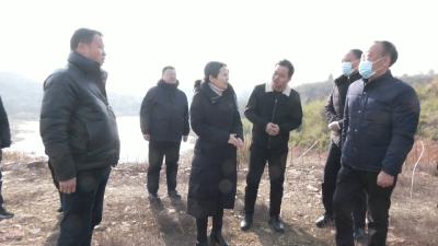 视频︱陈丹调研督导长江经济带生态环保问题整改工作