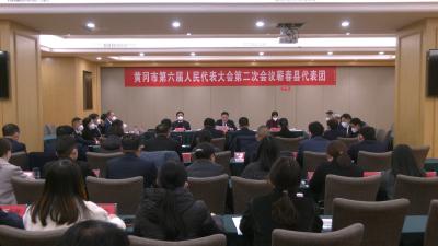视频︱黄冈市六届人大二次会议蕲春县代表团召开全体会议
