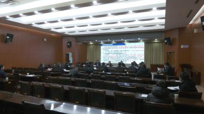 视频︱陈丹主持召开重点工作情况汇报会