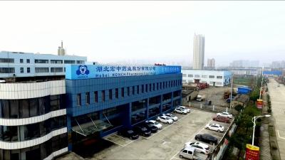 视频︱湖北宏中药业：智能制造加速释放 产业发展效应倍增