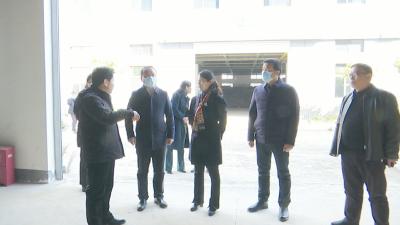 视频︱潘国林来蕲调研国家中医药传承创新发展试验区创建工作