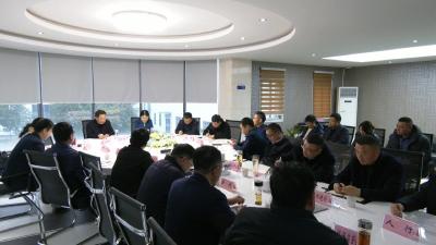 视频︱陈丹主持召开企业高质量发展工作推进会