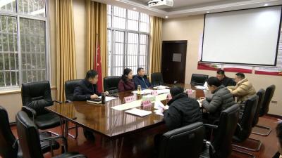 视频︱陈丹主持召开专项债申报工作推进会