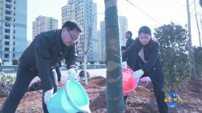 视频︱县“四大家”领导参加义务植树活动
