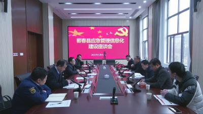 视频︱市应急管理局来蕲调研应急管理信息化建设工作