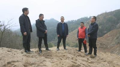 视频︱杨振武调研文旅产业发展工作