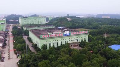 视频︱蕲春两家企业获湖北省科学技术进步奖