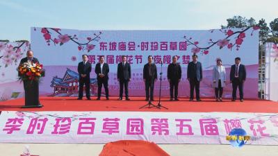 视频︱东坡庙会-时珍百草园第五届樱花花海“夜樱之梦”活动开启