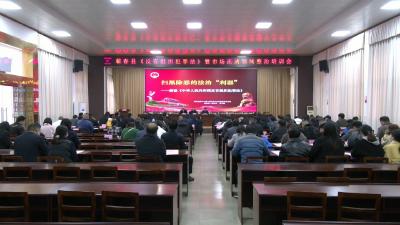 视频︱县委政法委开展《反有组织犯罪法》暨市场流通领域整治培训