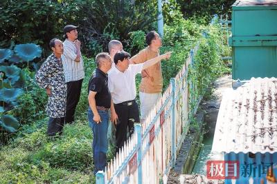 30年接力守护！龙泉小组，“咬定”漳河不放松