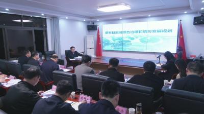 视频︱胡安元主持召开流域综合治理和统筹发展规划编制汇报会