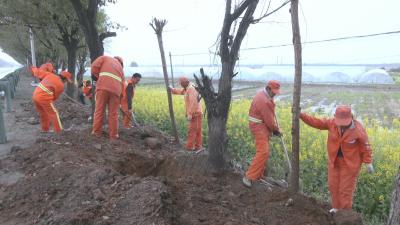 视频︱省道下蕲线部分路段绿化升级