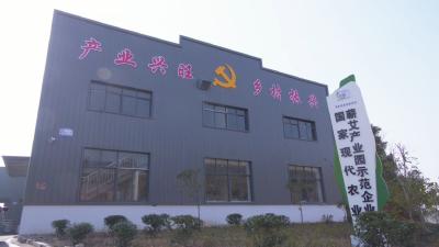 视频︱漕河镇入选“2022年全国乡村特色产业产值超十亿元镇”名单