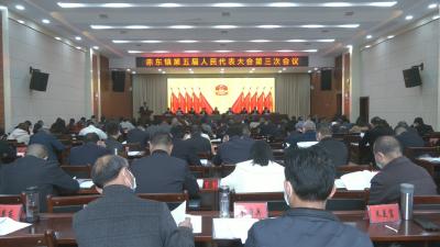 视频︱赤东镇：放大品牌效应 打造武鄂黄黄都市圈示范镇