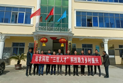 蕲春：“三区”人才助力乡村振兴