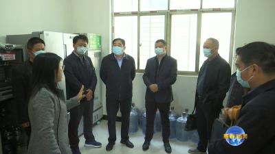 视频︱何朝阳督导优化营商环境和校园食品安全工作