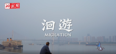 老外看长江大保护：“微笑天使”的洄游
