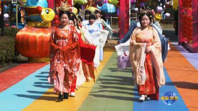 视频︱“东坡庙会”蕲春站：传统文化氛围浓 旅游市场人气旺