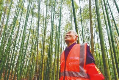 湖北黄石：八旬村民李相育守岛护鸟——25年开荒植绿，迎来满目苍翠