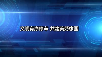 视频︱抓拍漕河城区违法停车