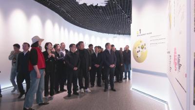 视频︱艾都数字产业园·直播基地招商推介活动暨中国艾都蕲艾产品直播大赛正式启动