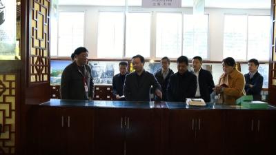 视频︱陈青调研中医药产业发展和基层社会治理